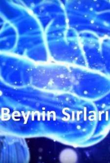 Beynin Sırları